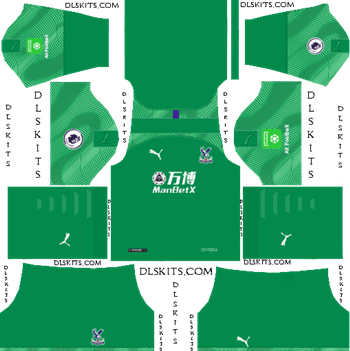 Crystal Palace FC Goalkeeper Home Kit 2019-20 Dream League Soccer Kits