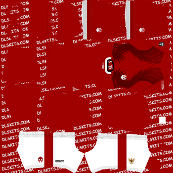 Indonesia 2020 Dream League Soccer Kits